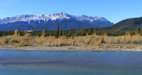 Rocky Mountain peaks with Athabasca River in foreground Royalty Free Stock Photos