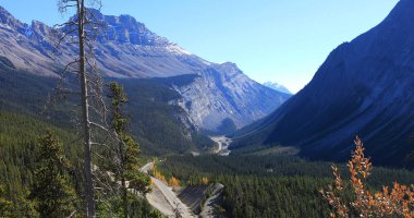 Icefields Otoban Rocky Dağları, Kanada
