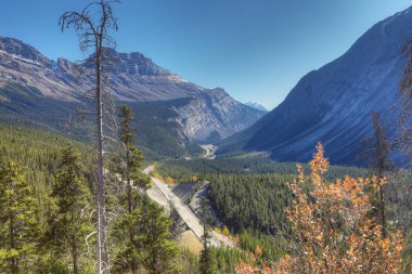 Icefields Otoban Rocky Dağları