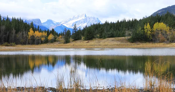 Góry i jeziora Bowman Dolina Provincial Park, Kanada — Zdjęcie stockowe