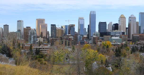 Weergave van de Calgary, Canada skyline 4k — Stockvideo