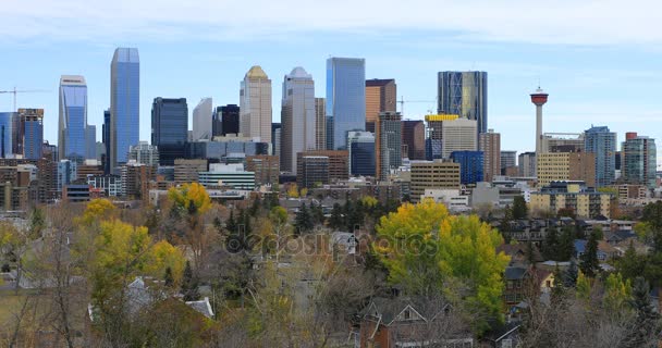 Vista Calgary, Alberta centro città 4K — Video Stock