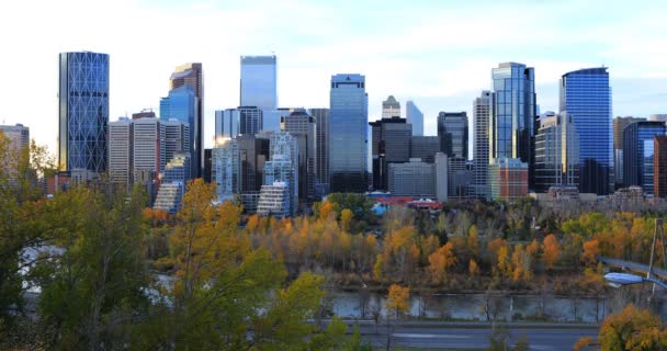 Uitzicht op de skyline van Calgary, Alberta 4k — Stockvideo