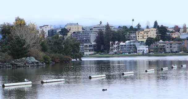 Weergave Van Oakland California Lake Merritt — Stockvideo