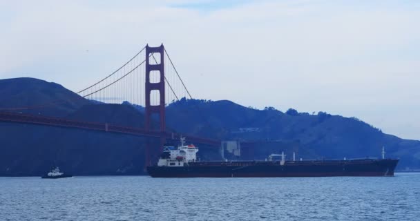 Golden Gate Bridge Cargueiro — Vídeo de Stock