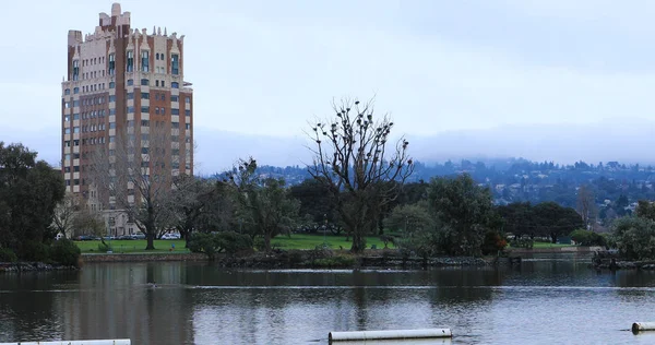 Scene at Lake Merritt, Oakland California