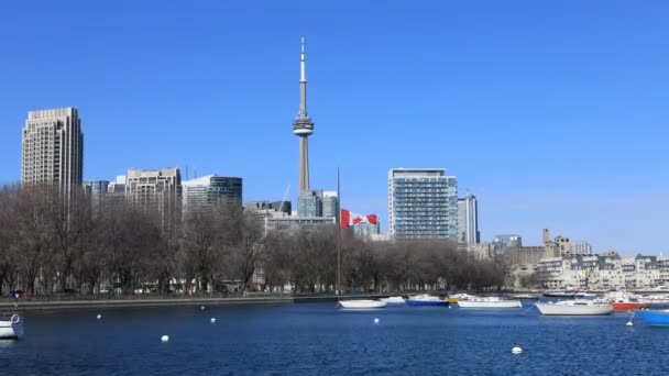 Zeitraffer Der Toronto Skyline Über Dem Hafen Einem Klaren Tag — Stockvideo