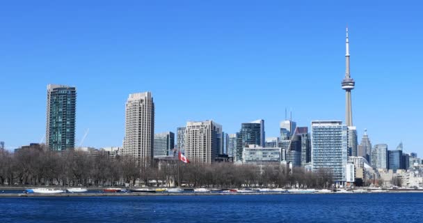 Toronto Skyline Harbor Sunny Day — Stock Video