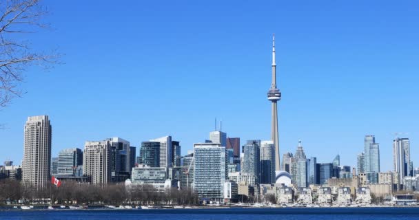 Szene Von Toronto Skyline Über Hafen — Stockvideo