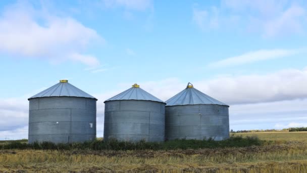 Timelapse Several Grain Bins Saskatchewan Καναδάς — Αρχείο Βίντεο