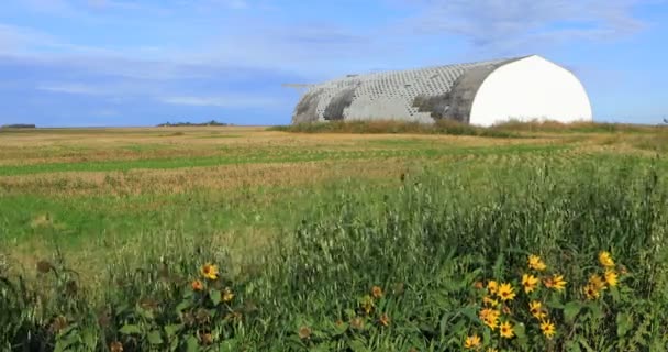 Landwirtschaftliches Gebäude Kanada Prärie — Stockvideo
