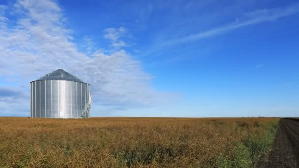 Timelapse Huge Grain Bin Saskatchewan Canada — Stock Video