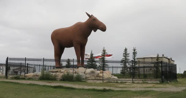 Moose Jaw Saskatchewan Canada September 2019 Mac Moose Standbeeld Moose — Stockvideo