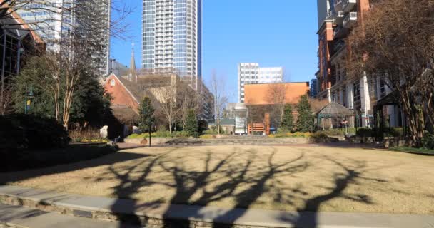 Charlotte North Carolina Park Downtown Area — Stock Video