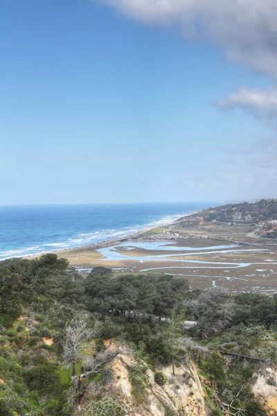 Vertical Parque Torrey Pines Longo Costa Califórnia — Fotografia de Stock