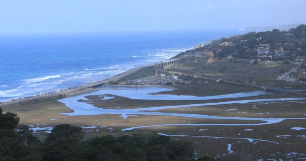 Θέα Από Πάρκο Torrey Pines Κατά Μήκος Της Ακτής Της — Αρχείο Βίντεο