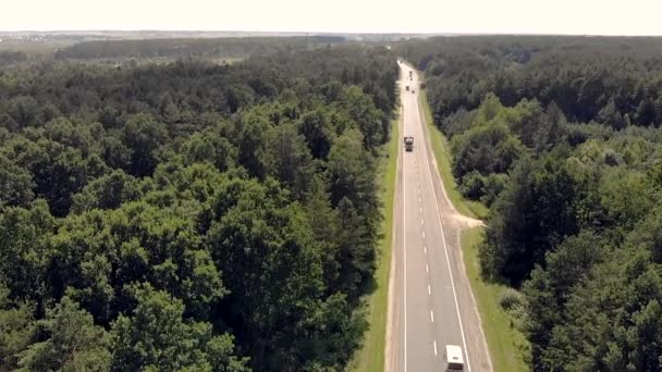 Kamyon Paslanmaz Çelik Varilleri Taşıyor Hava Görüntüsü Ormanın Arasındaki Yol — Stok video