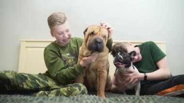 Köpeklerle oynayan iki komik genç. Sharpey ve Fransız Bulldog. Yatağın üzerindeki odada.