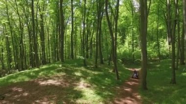 Bir çift. Dörtlü bisiklete biniyor. ATV 'ler. Ormanda. Yeşil orman. Havadan 