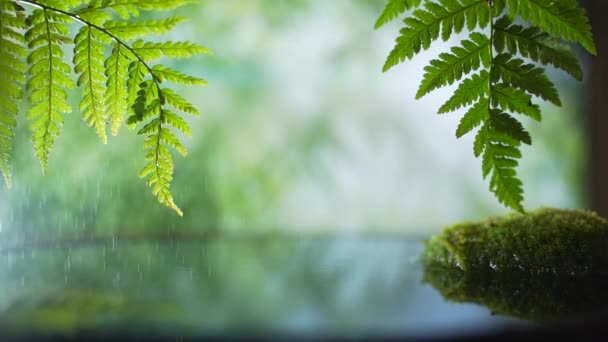 Leichter Regen Auf Einem Hintergrund Aus Palmen Und Regenwald Meditation — Stockvideo