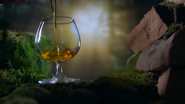 Zpomalit Nalije Koňak Nebo Brandy Sklenice Pozadí Stromů Přírody Západu — Stock video