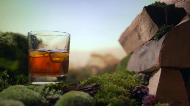 慢动作 冰块落在威士忌或白兰地中 在美丽的大自然中 天然苔藓的柴火 晚上在大自然中畅饮 接近了 — 图库视频影像