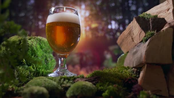 Craft Biere Draußen Auf Dem Hintergrund Des Sonnenuntergangs Brennholzmoos Holz — Stockvideo