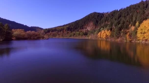 Осіння Річка Спокійна Блакитна Вода Осінь Кольорові Жовті Дерева Над — стокове відео