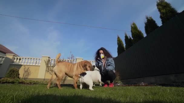 Женщина Выгуливает Собак Карантине Женщина Защитной Медицинской Маске Перчатках Выгуливает — стоковое видео