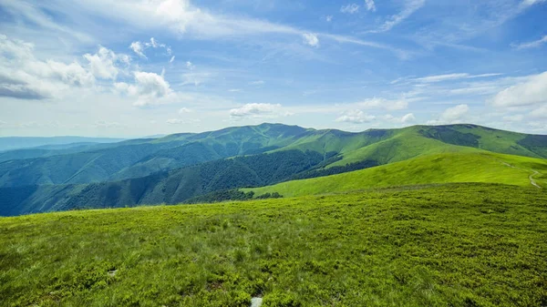 晴れた日の午後 山の中の素晴らしい春の風景 草の野と丘陵だ 田舎の風景 青い山の背景に 緑の高山の山々が緑の草で覆われ ロイヤリティフリーのストック写真
