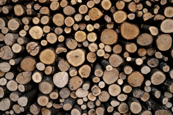 抽象的で背景 丸い薪の質感の背景 木材の丸太の山 森林伐採場 木の幹が落ちた バーベキュー用の木だ 暖炉やボイラー ロイヤリティフリーのストック写真