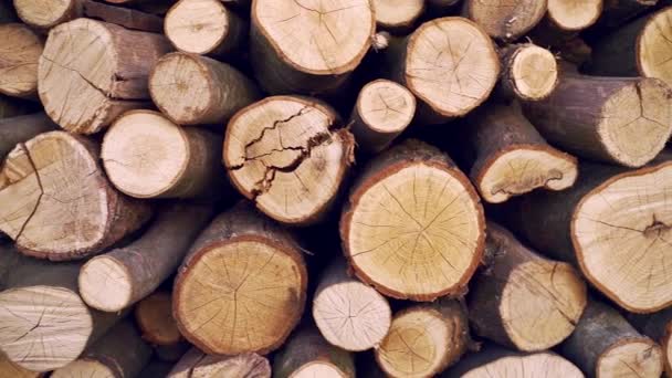 bois rond texture fond. Une pile de bûches de bois. Site d'exploitation forestière. troncs d'arbres abattus. bois pour barbecue. cheminée ou chaudière . 