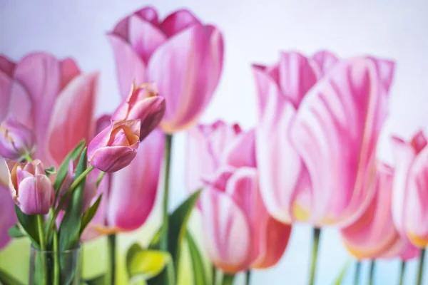 Różowe Tulipany Zdjęciu Tulipanów Kwiaty Szklanym Wazonie Czerwone Zielonymi Liśćmi Obraz Stockowy