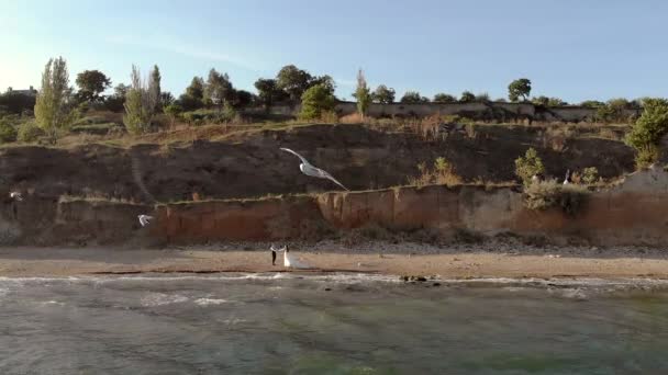 Genç Bir Çift Denizin Okyanusun Arka Planında Yürüyor Gelin Damat — Stok video