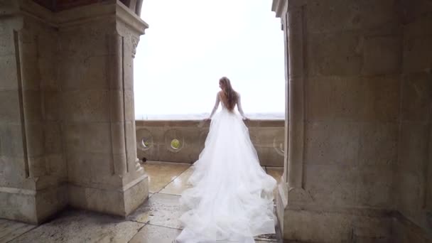 Hermosa Princesa Hadas Con Vistas Balcón Terraza Exquisito Castillo Antiguo — Vídeo de stock