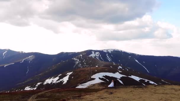 Harika Bir Hava Manzarası Var Gelin Damada Yaklaşıyor Beyaz Bir — Stok video
