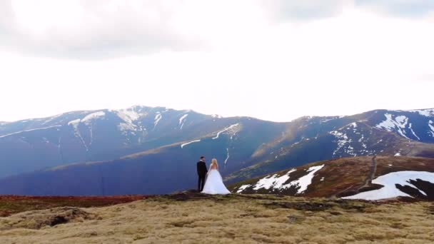 新娘牵着新郎的手 一对新婚夫妇站在山顶上拥抱 有着令人惊奇的自然景观 蓝天岩石 — 图库视频影像