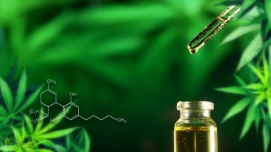 Doğal özüt kenevir yağı, bir kavanozdan biyolojik ve ekolojik kenevir bitkisine bitkisel cbd yağı enjekte eder. Makroyu yavaş çekimde yaklaştır. Laboratuvar kimyasal formülü