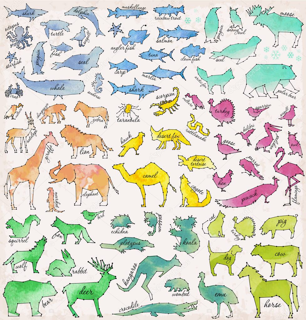 Abstract Line and Dot Savannah, Sea, Forest, Farm, Desert, Australian and Arctic Animals Set Vector Illustrations