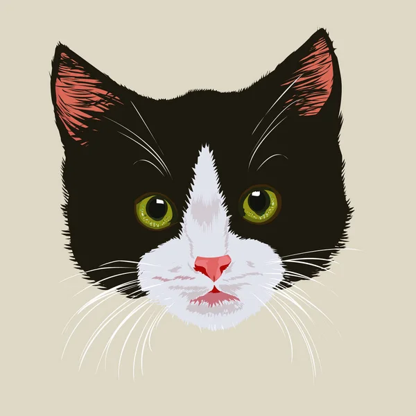 Lindo gatito negro — Archivo Imágenes Vectoriales