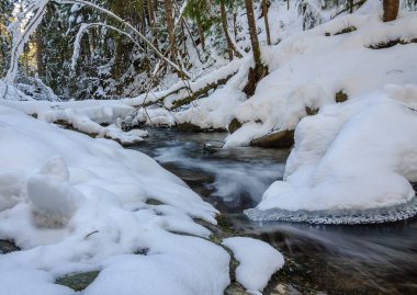 Kışın şelale. Dağ nehir ve dağ yamaçlarında kar