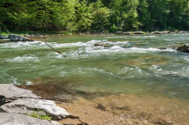 Dağ manzarası, orman ve nehir hızlı dağ. Bir dağ nehir ile güzel sahne