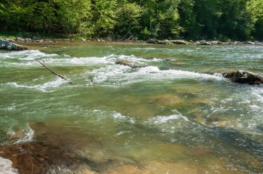 Dağ manzarası, orman ve nehir hızlı dağ. Bir dağ nehir ile güzel sahne
