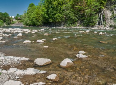 Dağ manzarası, orman ve nehir hızlı dağ. Bir dağ nehir ile güzel sahne