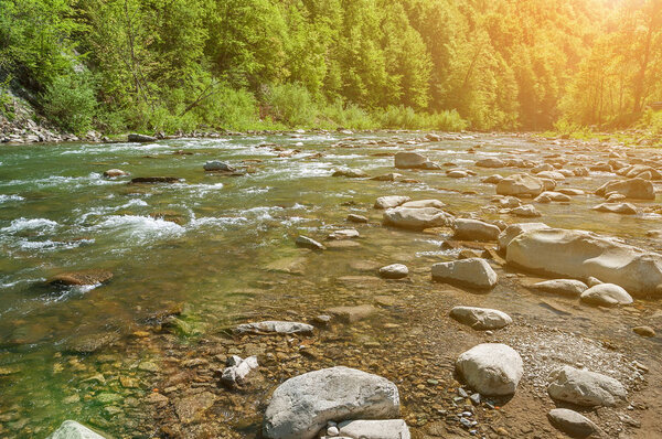 Mountain landscape, forest and fast mountain river. Beautiful scenery with a mountain river