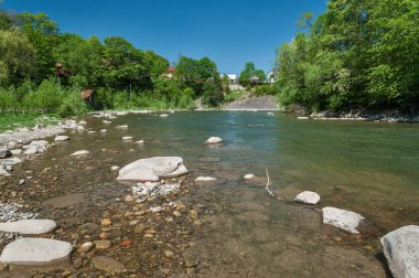 Dağ manzarası, orman ve nehir hızlı dağ. Bir dağ nehir ile güzel sahne