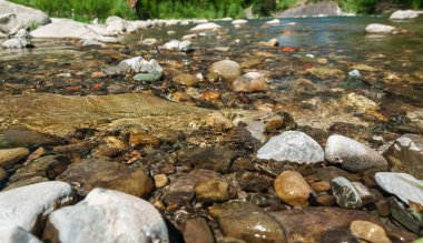 Dağ manzarası, orman ve nehir hızlı dağ. Bir dağ nehir ile güzel sahne