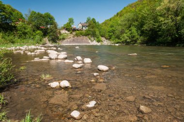 Dağ manzarası, orman ve nehir hızlı dağ. Bir dağ nehir ile güzel sahne