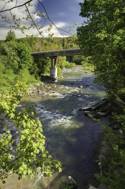 Dağ manzarası, orman ve nehir hızlı dağ. Bir dağ nehir ile güzel sahne