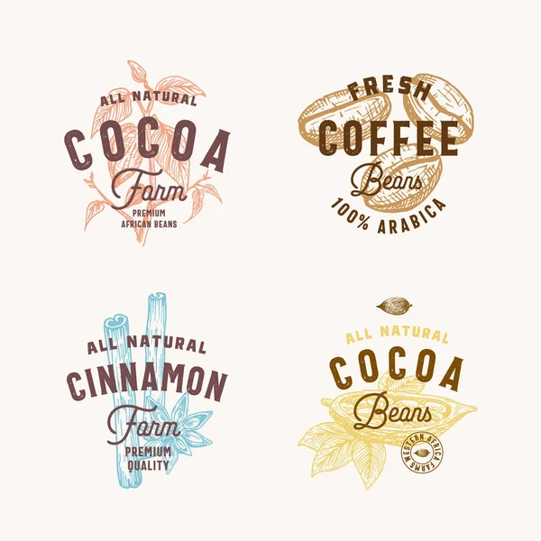 Cinnamon, Anise Spices, Cocoa і Coffee Abstract Vector Sign, Symbol або Logo Templates Set. Hand Drawn Spices and Beans Silhoettes with Premium Vintage Typography Відірвані векторні символи. — стоковий вектор